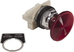 Schneider Electric - 1.18 Inch Mount Hole, Extended Straight, Pushbutton Switch Only - Round, Red Pushbutton, Illuminated, Maintained (MA), Weatherproof, Dust and Oil Resistant - Americas Industrial Supply