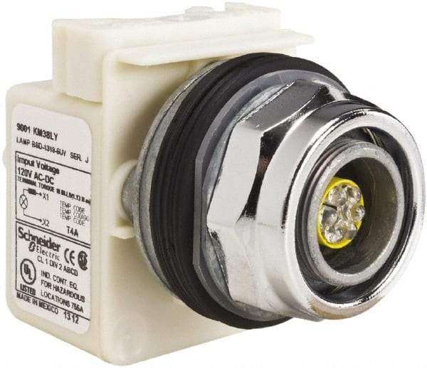 Schneider Electric - 120 V LED Indicating Light - Screw Clamp Connector - Americas Industrial Supply