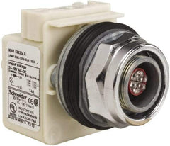 Schneider Electric - 28 V LED Indicating Light - Screw Clamp Connector - Americas Industrial Supply