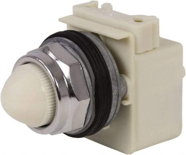 Schneider Electric - 120 VAC White Lens Indicating Light - Screw Clamp Connector - Americas Industrial Supply