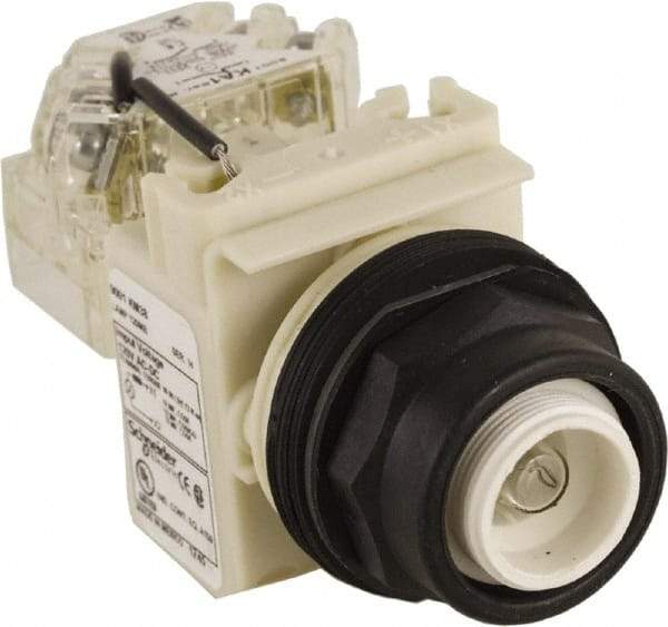 Schneider Electric - 120 V Press-to-Test Indicating Light - Round Lens, Screw Clamp Connector, Corrosion Resistant, Dust Resistant, Oil Resistant - Americas Industrial Supply