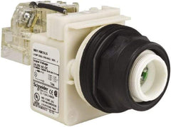 Schneider Electric - 28 V Green Lens LED Pilot Light - Round Lens, Screw Clamp Connector, 54mm OAL x 42mm Wide, Vibration Resistant - Americas Industrial Supply