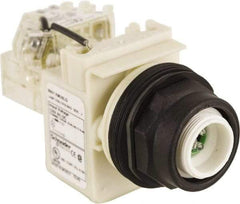 Schneider Electric - 120 V LED Press-to-Test Indicating Light - Round Lens, Screw Clamp Connector, Corrosion Resistant, Dust Resistant, Oil Resistant - Americas Industrial Supply