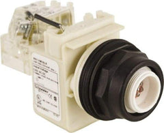 Schneider Electric - 120 V LED Press-to-Test Indicating Light - Round Lens, Screw Clamp Connector, Corrosion Resistant, Dust Resistant, Oil Resistant - Americas Industrial Supply