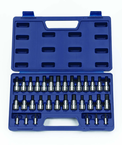 32 Piece - 1/4 & 3/8" Drive - Bit Socket Set - Americas Industrial Supply
