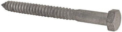 Value Collection - 3/4" Screw, 8" Length Under Head, Steel, Hex Head Lag Screw - Hot Dipped Galvanized, Grade 2 - Americas Industrial Supply