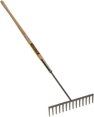 SEYMOUR-MIDWEST - Asphalt Rake with 60" Straight Wood Handle - 1/2" Blade Width, 14 Tines, 3-1/2" Tine Length - Americas Industrial Supply