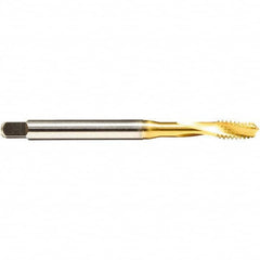 Emuge - 1/4-20 UNC 3 Flute 2BX Modified Bottoming Spiral Flute Tap - Cobalt, TiN Finish, 3.15" OAL, Right Hand Flute, Right Hand Thread, Series Rekord D - Americas Industrial Supply