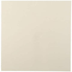 Made in USA - 2' x 24" x 3/8" Tan ABS Sheet - Americas Industrial Supply