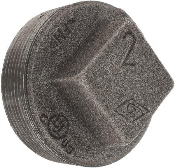 Value Collection - Size 2", Class 150, Malleable Iron Black Pipe Square Plug - 150 psi, Threaded End Connection - Americas Industrial Supply