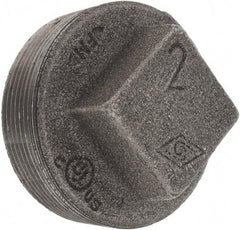 Value Collection - Size 2", Class 150, Malleable Iron Black Pipe Square Plug - 150 psi, Threaded End Connection - Americas Industrial Supply