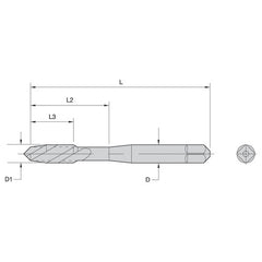 ‎16061 M5-0.8 HS G D4 3F PLUG FAST - Americas Industrial Supply