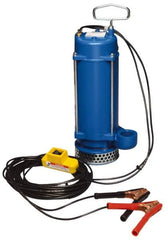 Warren Rupp - 1/3 hp, 12 VDC Amp Rating, 12 VDC Volts, Nonautomatic Operation, Dewatering Pump - Aluminum Housing - Americas Industrial Supply