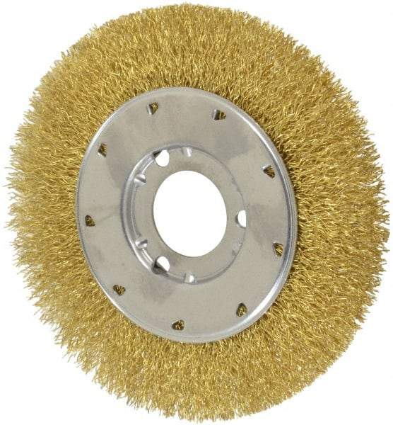 Osborn - 6" OD, 1-1/4" Arbor Hole, Crimped Brass Wheel Brush - 5/8" Face Width, 1-1/8" Trim Length, 0.014" Filament Diam, 6,000 RPM - Americas Industrial Supply