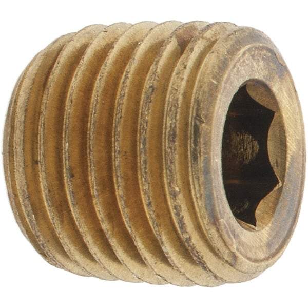 Parker - 1/4 Male Thread, Brass Industrial Pipe Hollow Hex Plug - MNPTF, 1,000 psi - Americas Industrial Supply