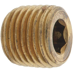 Parker - 1/4 Male Thread, Brass Industrial Pipe Hollow Hex Plug - MNPTF, 1,000 psi - Americas Industrial Supply