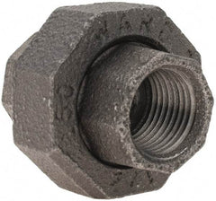 Value Collection - Size 1/2", Class 150, Malleable Iron Black Pipe Union - 150 psi, Threaded End Connection - Americas Industrial Supply