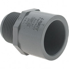 Value Collection - 1" CPVC Plastic Pipe Male Adapter - MIPT x Slip End Connections - Americas Industrial Supply