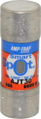 Ferraz Shawmut - 500 VDC, 600 VAC, 30 Amp, Time Delay General Purpose Fuse - Clip Mount, 2-1/4" OAL, 100 at DC, 200 at AC, 300 (Self-Certified) kA Rating, 13/16" Diam - Americas Industrial Supply