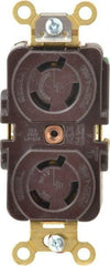 Hubbell Wiring Device-Kellems - 250 VAC, 15 Amp, L6-15R NEMA, Self Grounding Receptacle - 2 Poles, 3 Wire, Female End, Brown - Americas Industrial Supply