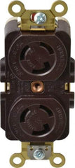 Hubbell Wiring Device-Kellems - 125 VAC, 15 Amp, L5-15R NEMA, Self Grounding Receptacle - 2 Poles, 3 Wire, Female End, Brown - Americas Industrial Supply