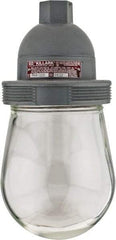 Hubbell Killark - 120 VAC, 150 Watt, Incandescent Hazardous Location Light Fixture - Dust Ignition, Aluminum Alloy Housing, 4-1/2" Wide x 9-5/8" High - Americas Industrial Supply