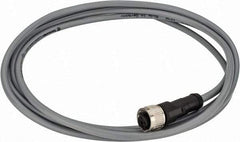 Telemecanique Sensors - 3 Amp, M12 4 Pin Female Straight Cordset Sensor and Receptacle - 250 VAC, 300 VDC, 2m Cable Length, IP67 Ingress Rating - Americas Industrial Supply