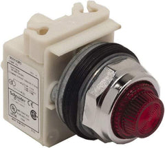 Schneider Electric - 480 VAC Red Lens Indicating Light - Screw Clamp Connector - Americas Industrial Supply