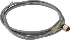 Telemecanique Sensors - 3 Amp, M12 3 Pin Female Straight Cordset Sensor and Receptacle - 30 VAC, 36 VDC, 2m Cable Length, IP67 Ingress Rating - Americas Industrial Supply