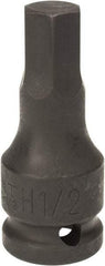 Paramount - 1/2" Drive, 1/2" Impact Hex Bit Socket - 1-3/8" Bit Length, 2-5/16" OAL - Americas Industrial Supply