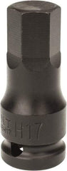 Paramount - 1/2" Drive, 17mm Impact Hex Bit Socket - 1-7/16" Bit Length, 2-5/16" OAL - Americas Industrial Supply