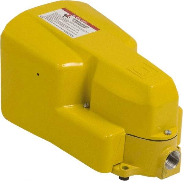 Square D - 2 Treadles, 5 Amp, Momentary (MO), SPDT, Electric Foot Switch - 13, 2 & 4 NEMA Rated, 11-1/2" Long x 6.8" Wide x 6-1/2" High - Americas Industrial Supply