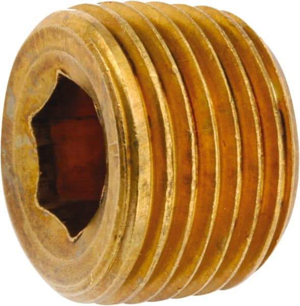ANDERSON METALS - 1/2-14 Male Thread, Lead Free Brass Industrial Pipe Hollow Hex Plug - MNPT, 1,000 psi - Americas Industrial Supply