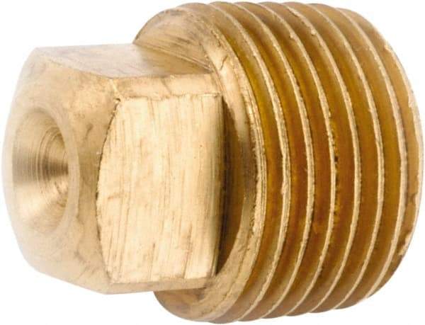 ANDERSON METALS - 3/4-14 Male Thread, Lead Free Brass Industrial Pipe Square Head Plug - MNPT, 1,000 psi - Americas Industrial Supply