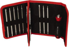 Wiha - 15 Piece, 4mm Drive Screwdriver Insert Torx Bit Set - #1 to #2 Phillips, 2 to 6mm Hex, T6 to T40 Torx, 3.5 to 4.5 & 5.5 to 6.5mm Slotted - Americas Industrial Supply