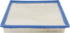 Hastings - Automotive Air Filter - Caterpillar 1127448, Donaldson P614476, Fleetguard AF55802 - Hastings PA3822 - Americas Industrial Supply