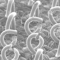 3M - 5" Diam Disc Backing Pad - 12,000 RPM - Americas Industrial Supply