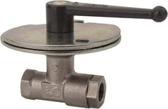 Legris - 1" Pipe, Female Port, Nickel Plated Brass Standard Ball Valve - Inline - One Way Flow, FBSPP x FBSPP Ends, Lever Handle, 580 WOG - Americas Industrial Supply