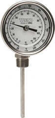 Wika - 4 Inch Long Stem, 3 Inch Dial Diameter, Stainless Steel, Bottom Connected Bi-Metal Thermometer - -5 to 115°C, 1% Accuracy - Americas Industrial Supply