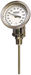 Wika - 18 Inch Long Stem, Stainless Steel, Back Connected Bi-Metal Thermometer - 100 to 540°C, 1% Accuracy - Americas Industrial Supply