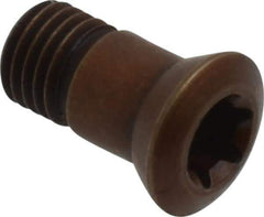 LMT - Torx Cap Screw for Indexable Copy Mills - Americas Industrial Supply