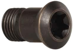 LMT - Torx Cap Screw for Indexable Copy Mills - Americas Industrial Supply