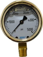Wika - 2-1/2" Dial, 1/4 Thread, 0-5,000 Scale Range, Pressure Gauge - Lower Connection Mount, Accurate to 1.5% of Scale - Americas Industrial Supply