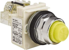 Schneider Electric - 120 VAC Yellow Lens LED Indicating Light - Screw Clamp Connector - Americas Industrial Supply