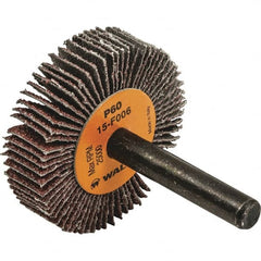 WALTER Surface Technologies - 1" Diam x 3/8" Face Width, Medium Aluminum Oxide Coated Mounted Flap Wheel - 1/4" Shank Mount, 60 Grit, Cloth Backing, 30,000 Max RPM - Americas Industrial Supply