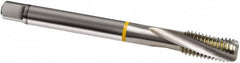 Guhring - M24x2.00 Metric Fine 4 Flute 6H Modified Bottoming Spiral Flute Tap - Cobalt, Bright Finish, 140mm OAL, Right Hand Flute, Right Hand Thread, D6/D7, Series 833 - Americas Industrial Supply