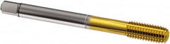 Guhring - M14x1.50 Metric Fine 6HX D10/D11 Thread Limit Modified Bottoming Thread Forming Tap - Cobalt, TiN Finish, 100mm OAL, Series 927 - Americas Industrial Supply