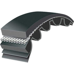 Bando - Section 8M, 20mm Wide, 2,400mm Outside Length, Timing Belt - Neoprene Rubber, Black, Series 8M - Americas Industrial Supply