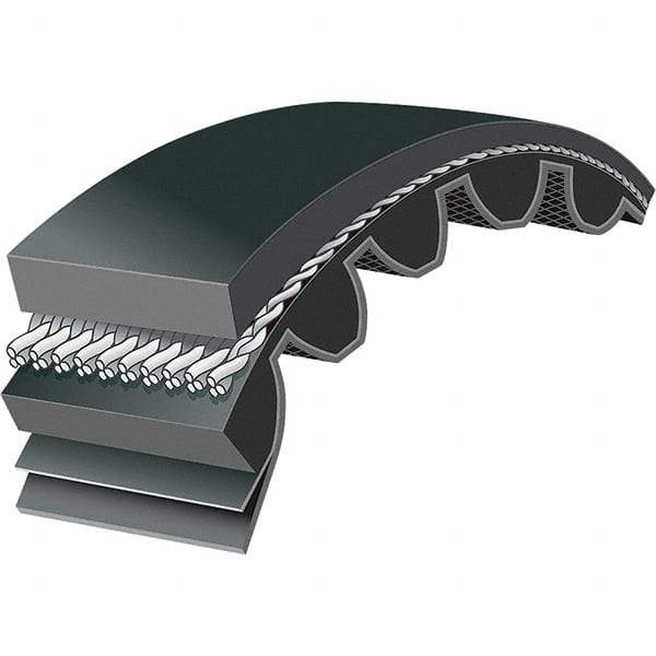 Bando - Section 8M, 30mm Wide, 1,600mm Outside Length, Timing Belt - Neoprene Rubber, Black, Series 8M - Americas Industrial Supply