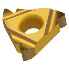 Walter - NTS-ER16 External Right Hand ISO Laydown Threading Insert - Grade WXM20, TiCN Coated Carbide, 9.53mm Inscribed Circle - Americas Industrial Supply